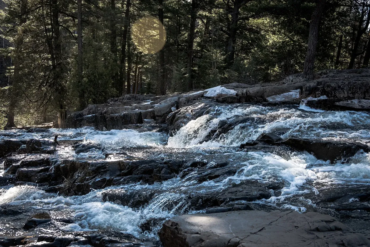 Hawk Ridge & Chester Creek Trails